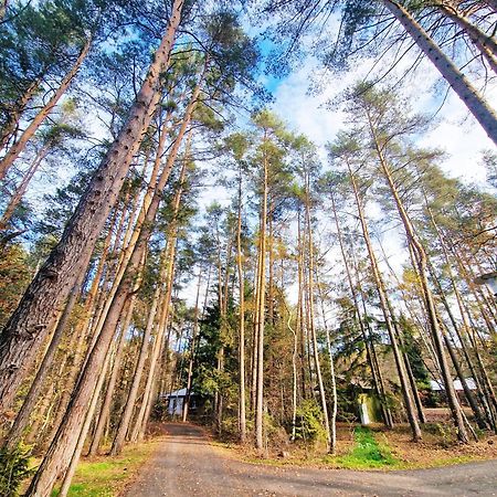 Bungalow Direkt Am See, Mit Eigenem Boot Родинг Экстерьер фото